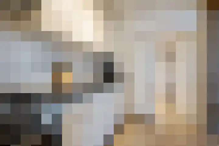 Beatrixstraat 10 Borger thumbnail 6