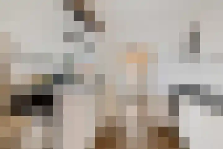 Beatrixstraat 10 Borger thumbnail 7