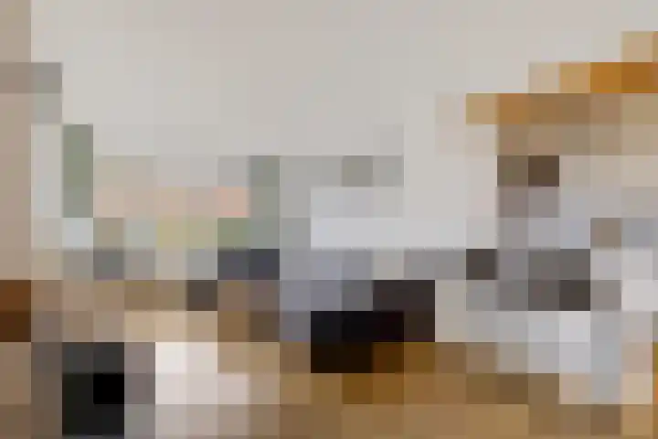 Beatrixstraat 10 Borger thumbnail 9