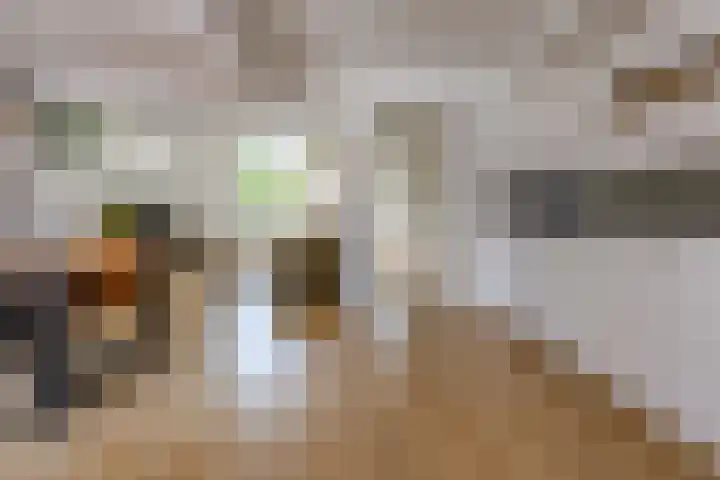 Beatrixstraat 11 Borger thumbnail 12