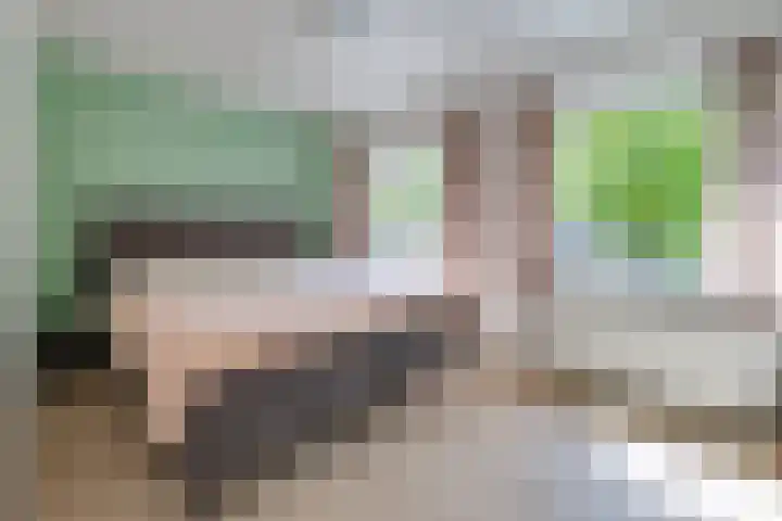 Beatrixstraat 11 Borger thumbnail 19