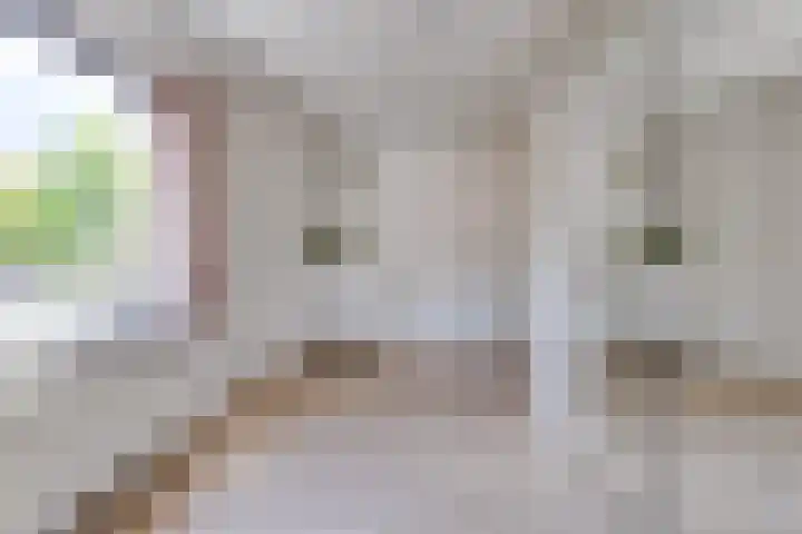 Beatrixstraat 11 Borger thumbnail 23