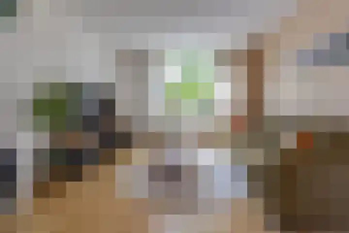 Beatrixstraat 11 Borger thumbnail 4