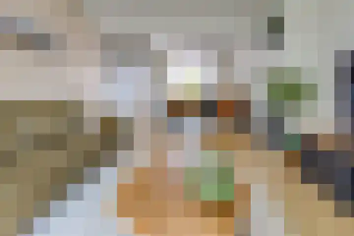 Beatrixstraat 11 Borger thumbnail 5