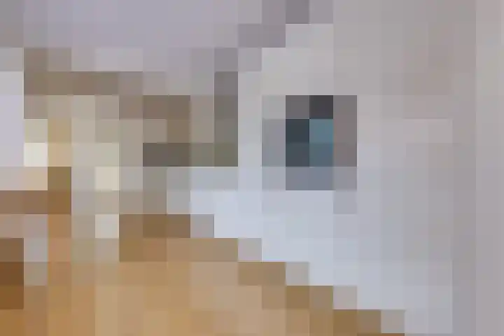 Beatrixstraat 11 Borger thumbnail 9