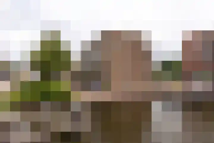 Beatrixstraat 14 Halfweg thumbnail 27