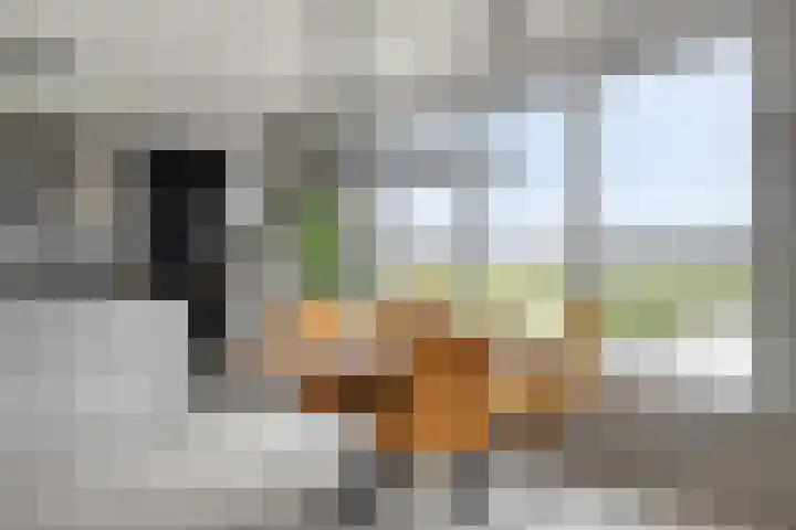 Beatrixstraat 15 Lisse thumbnail 20