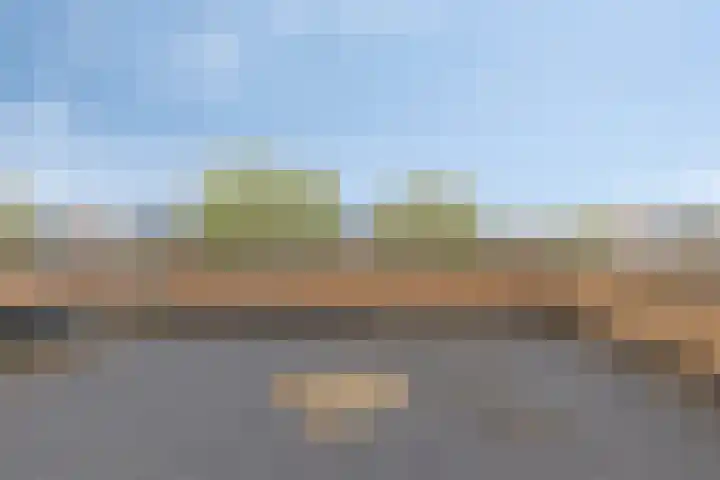 Beatrixstraat 15 Lisse thumbnail 30