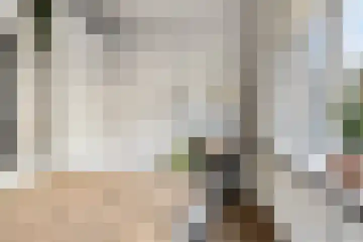 Beatrixstraat 15 Lisse thumbnail 6