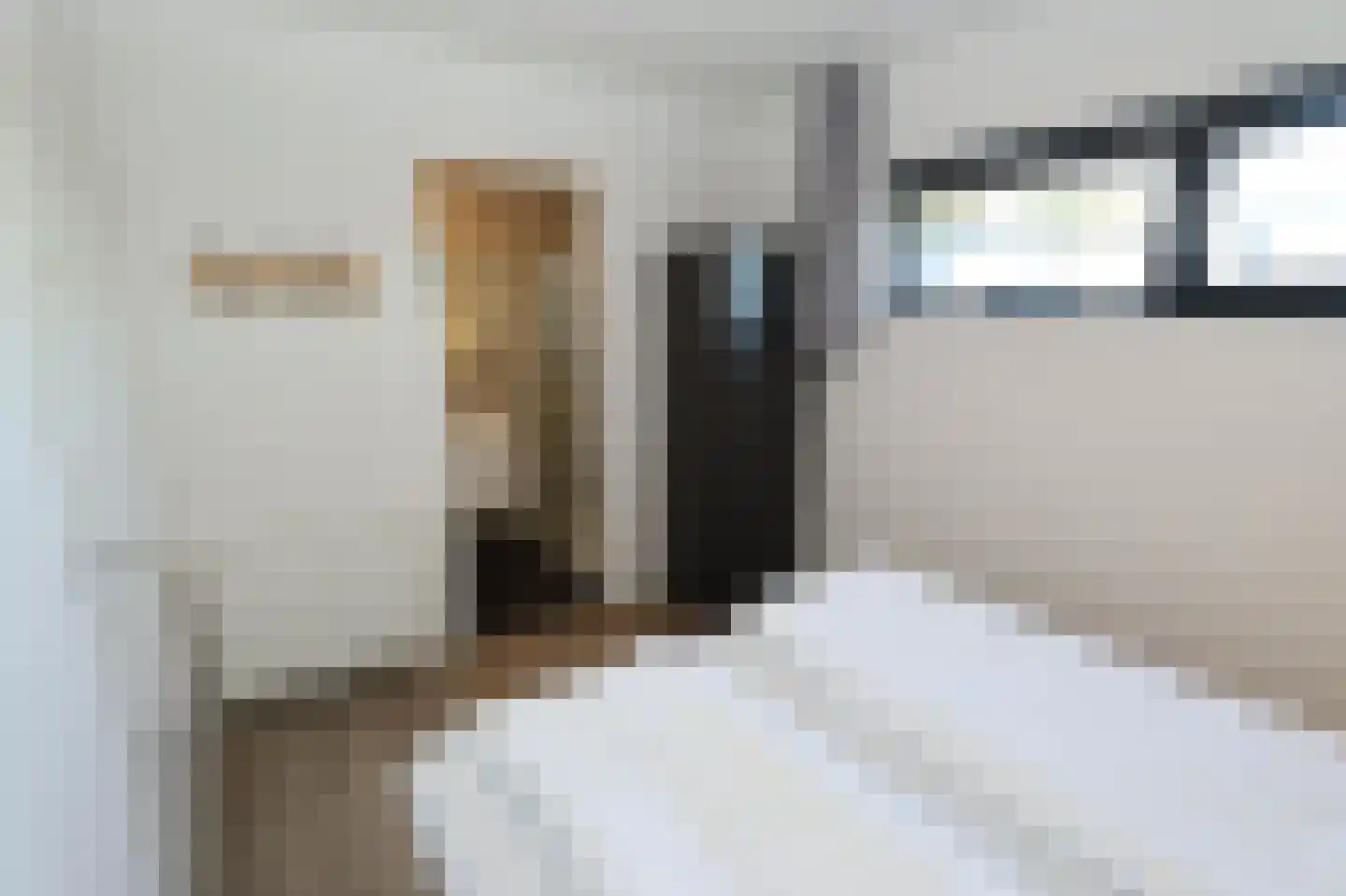 Beatrixstraat 15 Lisse thumbnail 8