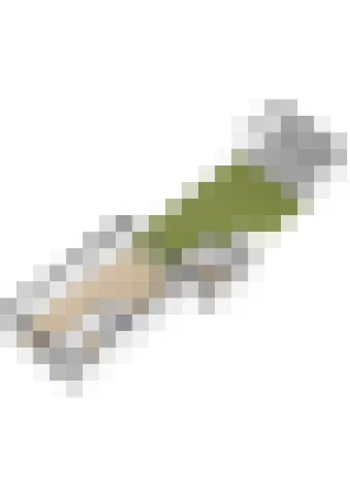Beatrixstraat 16 Pijnacker thumbnail 37