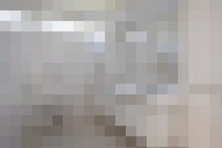 Beatrixstraat 17 Bakel thumbnail 31