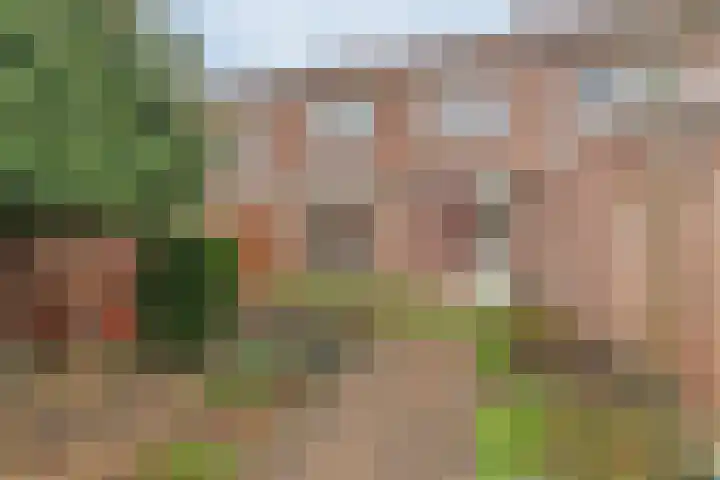 Beatrixstraat 18 Poeldijk thumbnail 4