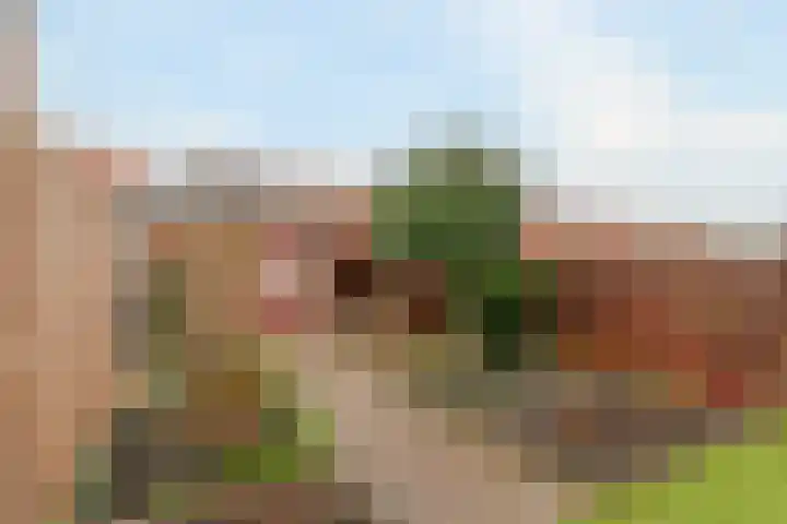 Beatrixstraat 18 Poeldijk thumbnail 6
