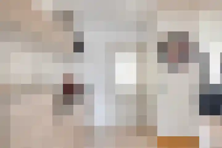 Beatrixstraat 19 Puth thumbnail 14