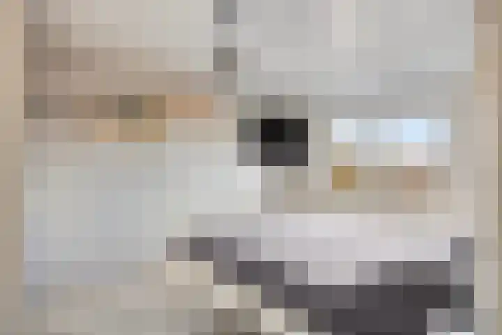 Beatrixstraat 19 Puth thumbnail 17