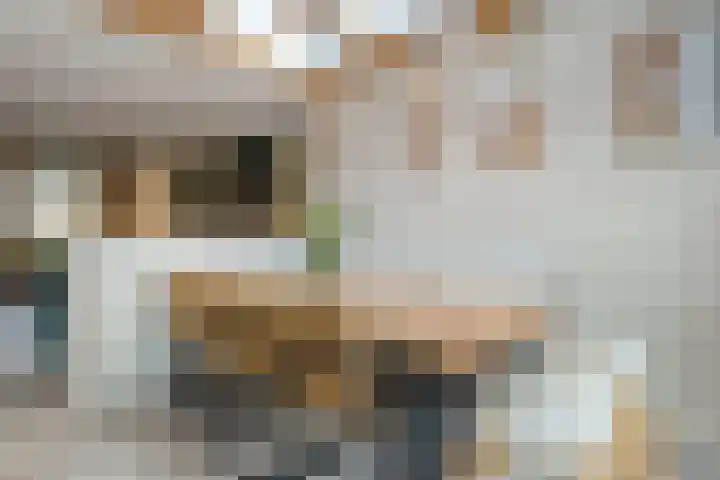 Beatrixstraat 2 de Lutte thumbnail 12
