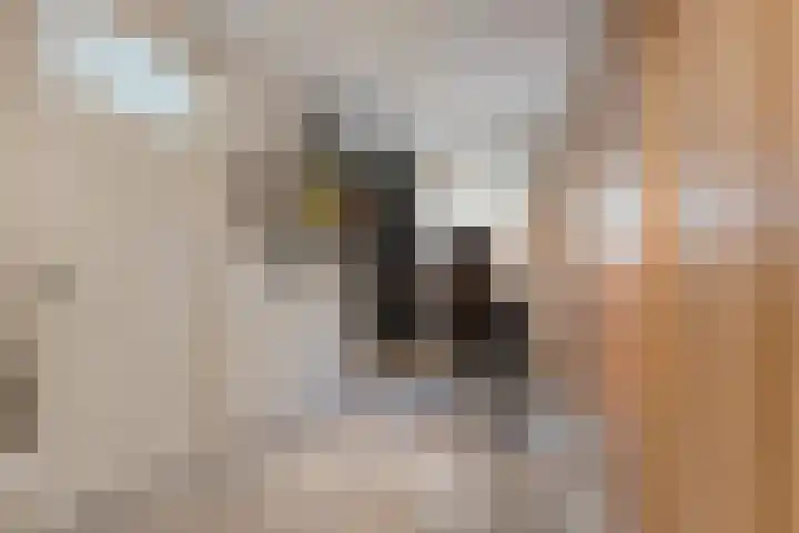Beatrixstraat 2 de Lutte thumbnail 17