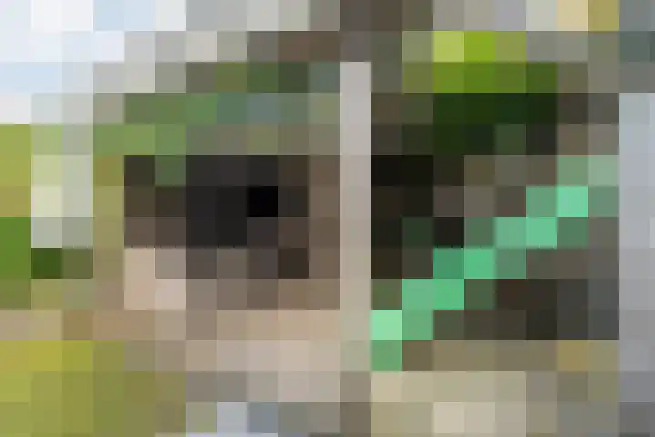 Beatrixstraat 2 de Lutte thumbnail 29