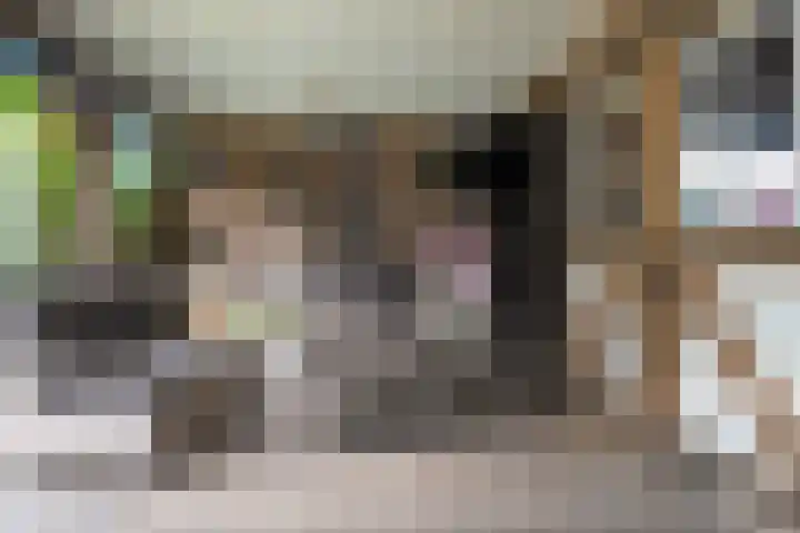 Beatrixstraat 2 de Lutte thumbnail 30