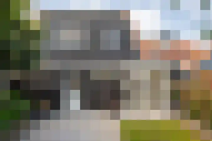 Beatrixstraat 2 de Lutte thumbnail 32