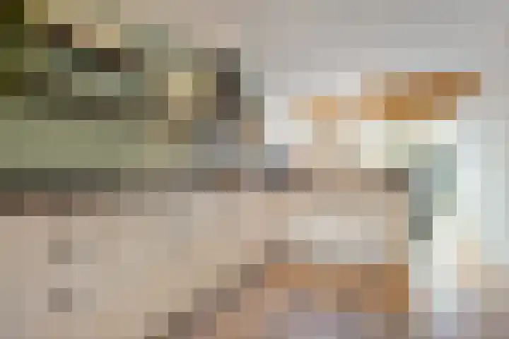 Beatrixstraat 2 de Lutte thumbnail 8