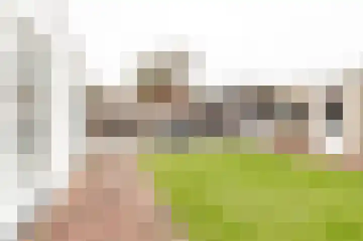Beatrixstraat 24 Culemborg thumbnail 35