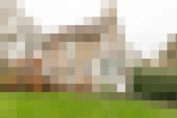 Beatrixstraat 24 Culemborg thumbnail 45