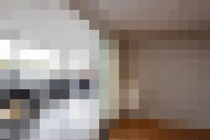 Beatrixstraat 4 e Neede thumbnail 6