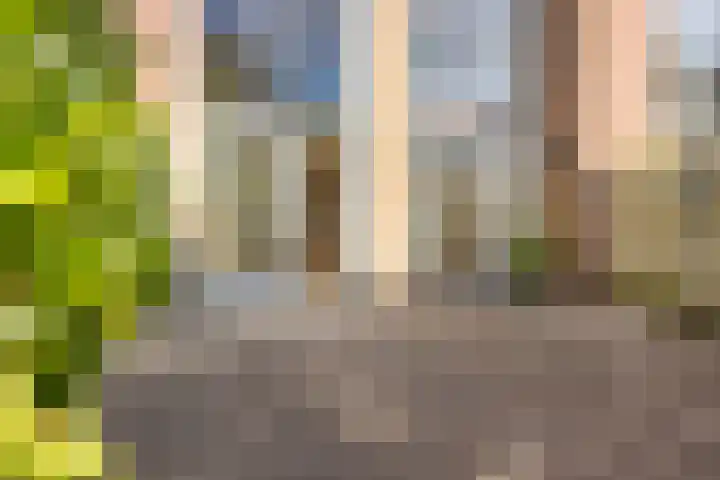 Beatrixstraat 4 Sneek thumbnail 34