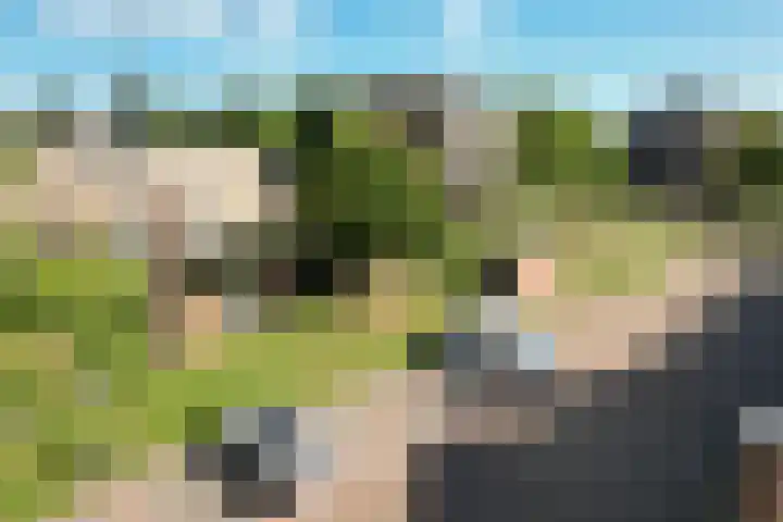 Beatrixstraat 4 Sneek thumbnail 4