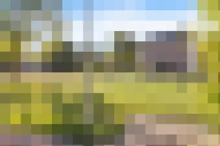 Beatrixstraat 4 Sneek thumbnail 40