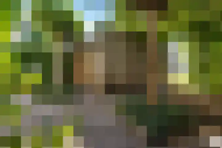 Beatrixstraat 4 Sneek thumbnail 42
