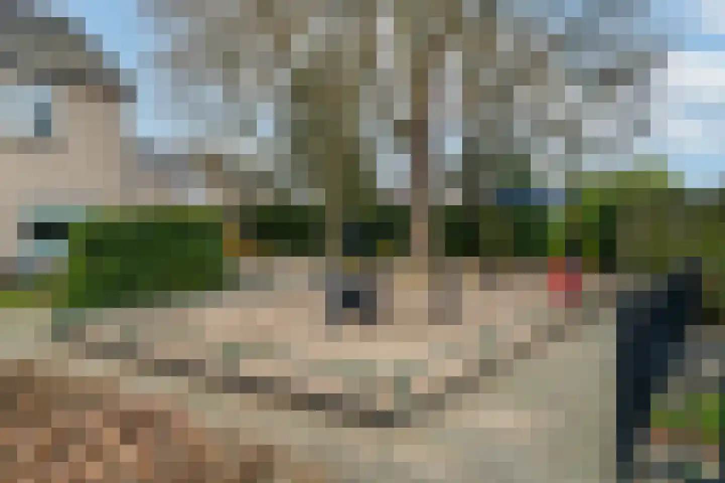 Beatrixstraat 4 Sprang-Capelle thumbnail 7