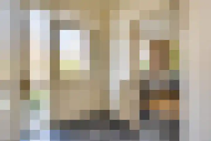 Beatrixstraat 47 Haghorst thumbnail 10