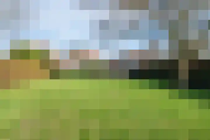 Beatrixstraat 47 Haghorst thumbnail 4