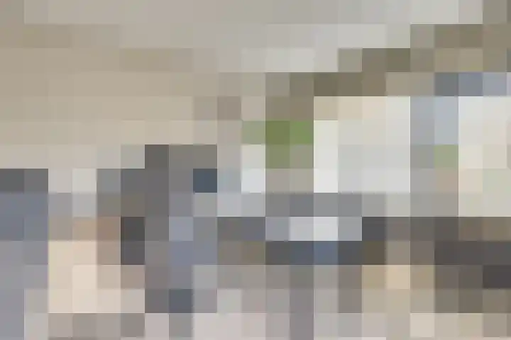 Beatrixstraat 47 Haghorst thumbnail 47