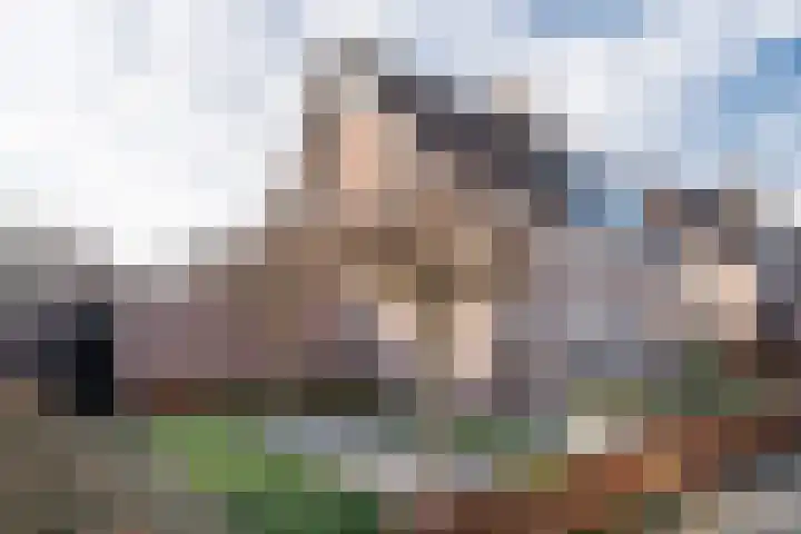 Beatrixstraat 47 Haghorst thumbnail 6