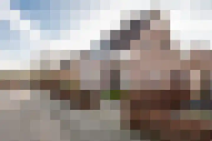 Beatrixstraat 47 Haghorst thumbnail 7