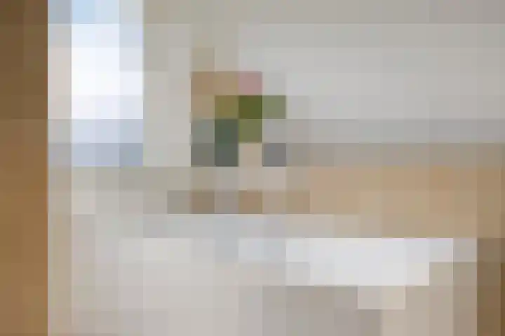Beatrixstraat 6 Arnhem thumbnail 27