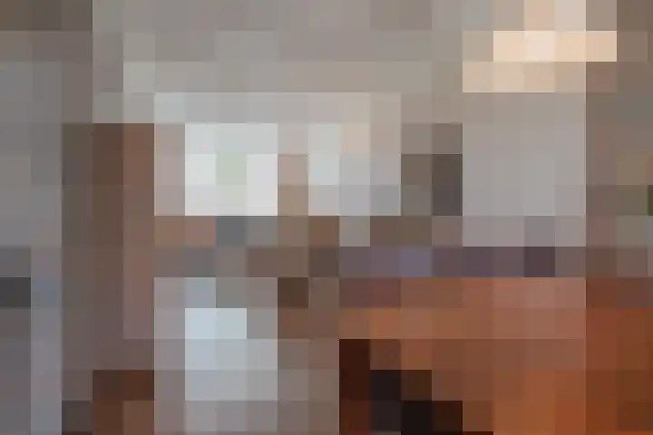 Beatrixstraat 6 Meerlo thumbnail 14
