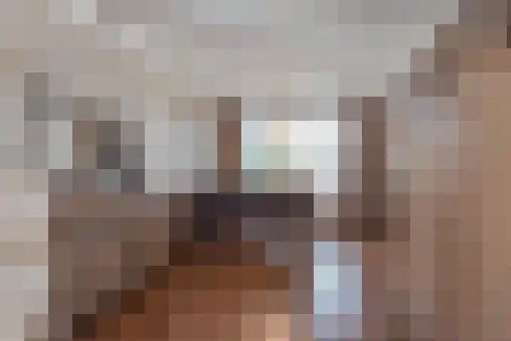 Beatrixstraat 6 Meerlo thumbnail 16