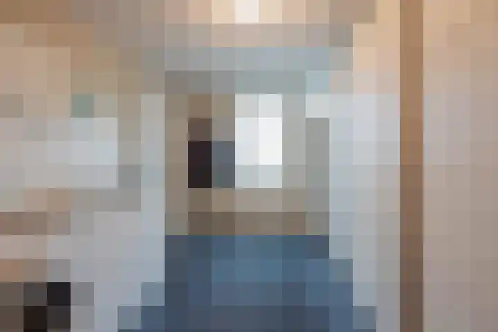Beatrixstraat 6 Meerlo thumbnail 21