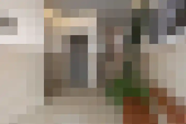 Beatrixstraat 76 Den Helder thumbnail 6