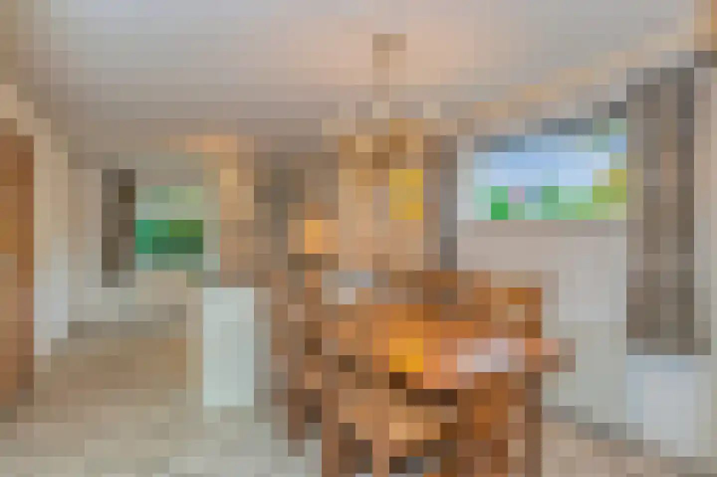 Beatrixweg 20 Epen thumbnail 22