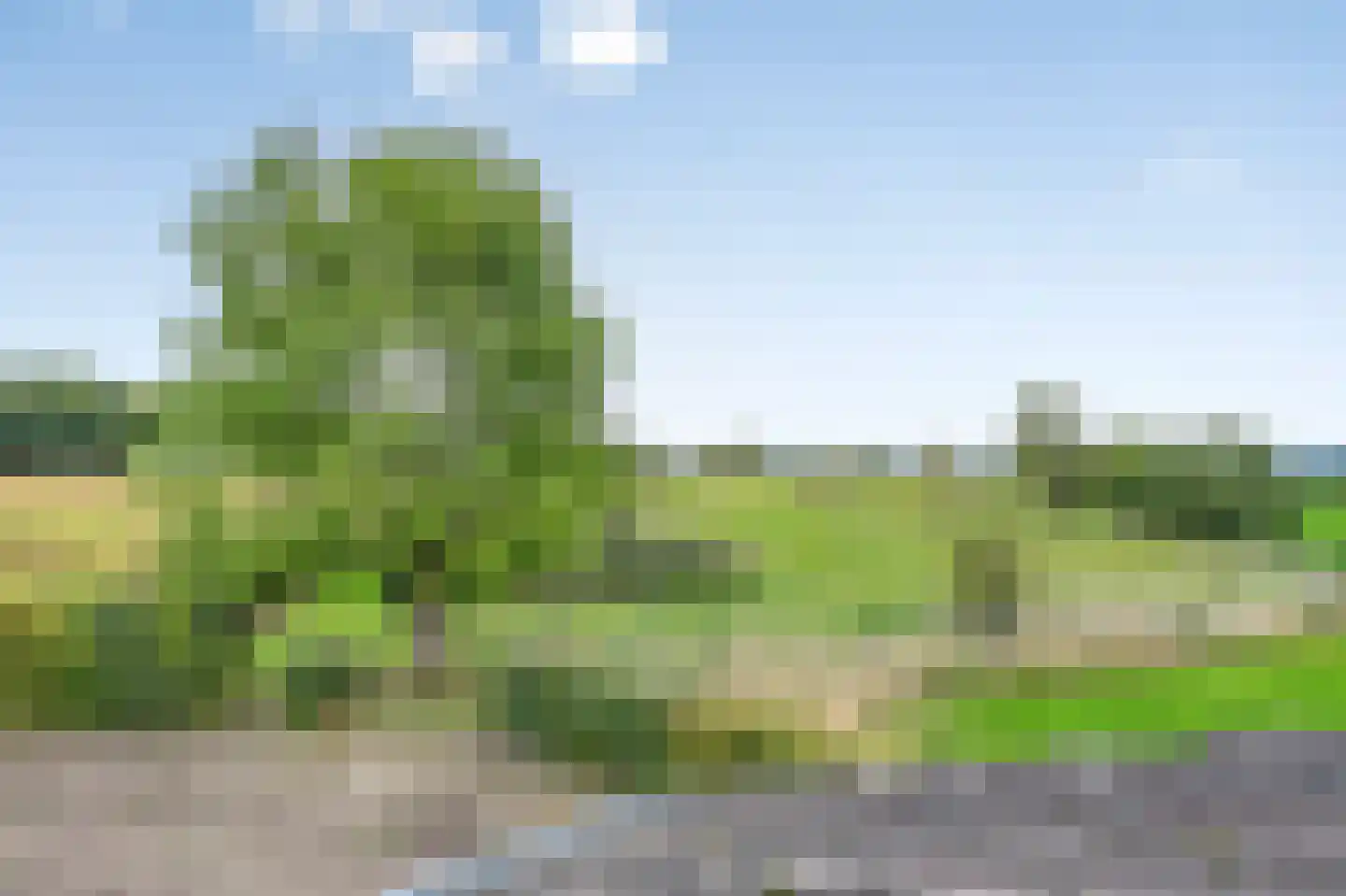 Beatrixweg 20 Epen thumbnail 40