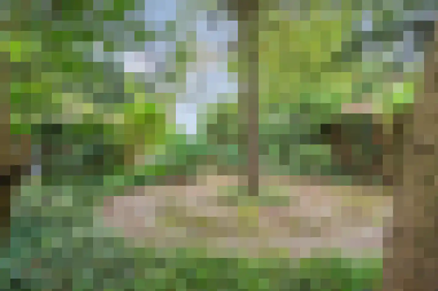 Beatrixweg 20 Epen thumbnail 44