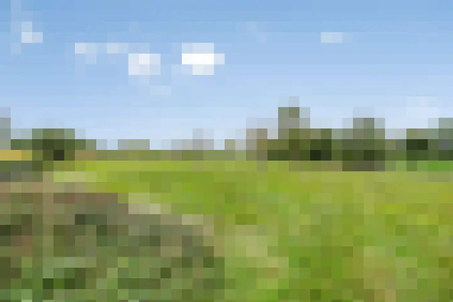 Beatrixweg 20 Epen thumbnail 48
