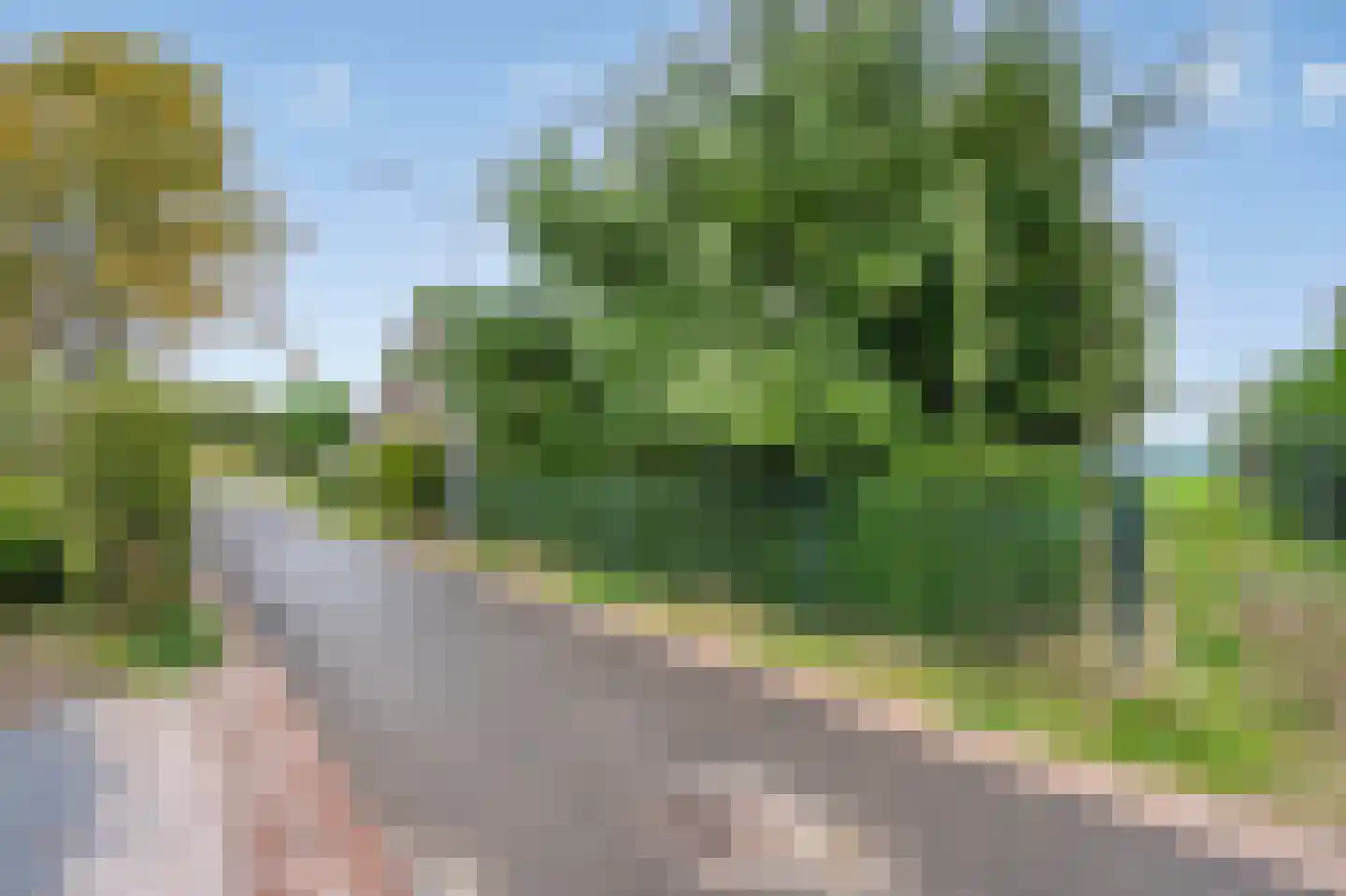 Beatrixweg 20 Epen thumbnail 56