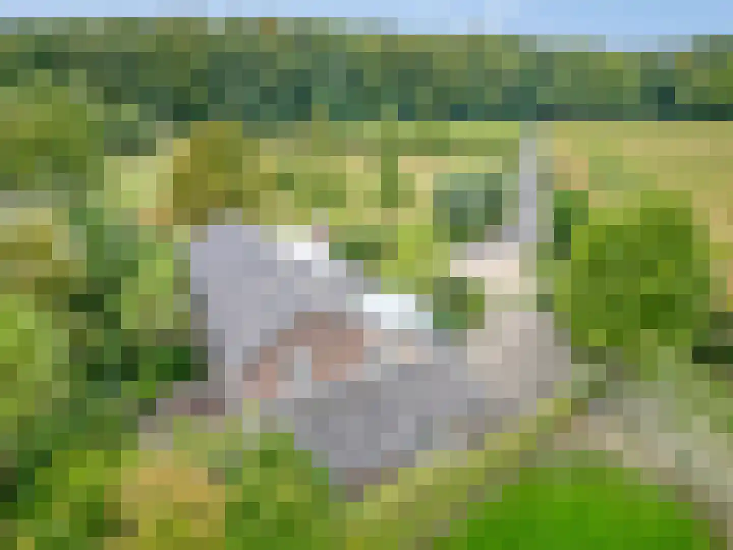 Beatrixweg 20 Epen thumbnail 58